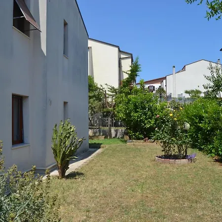 Numana, Bilocale Con Terrazza Panoramica דירה *